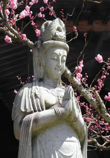 Kwan Yin, Boddhisattva of Compassion
Dr. Locke was quite fond of her.